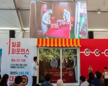 횡성 한우축제_23