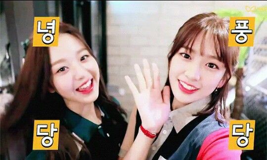 아이즈원 프로듀스48 사진 모음