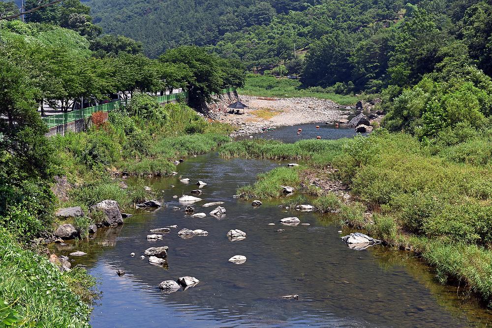 밀양 패밀리오토캠핑장 소개
