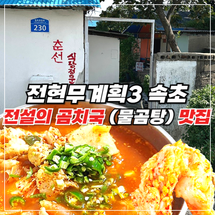 전현무계획 속초 곰치탕 물곰탕 맛집 춘선네 웨이팅/주차/포장 꿀팁 총정리