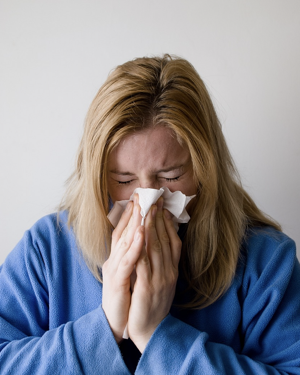 환절기 알레르기 비염 관련 사진