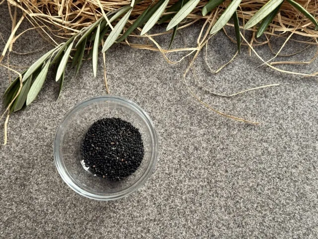 리그난 성분 검은깨