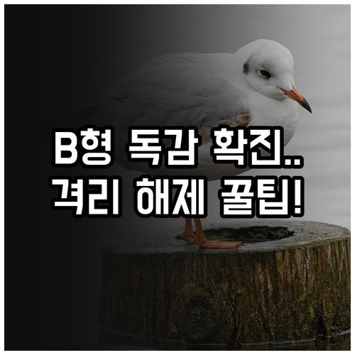 B형 독감 확진 시 대처법과 전염 예..