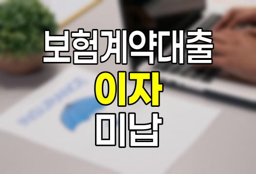 현대해상 보험계약대출 이자 미납의 이해와 영향