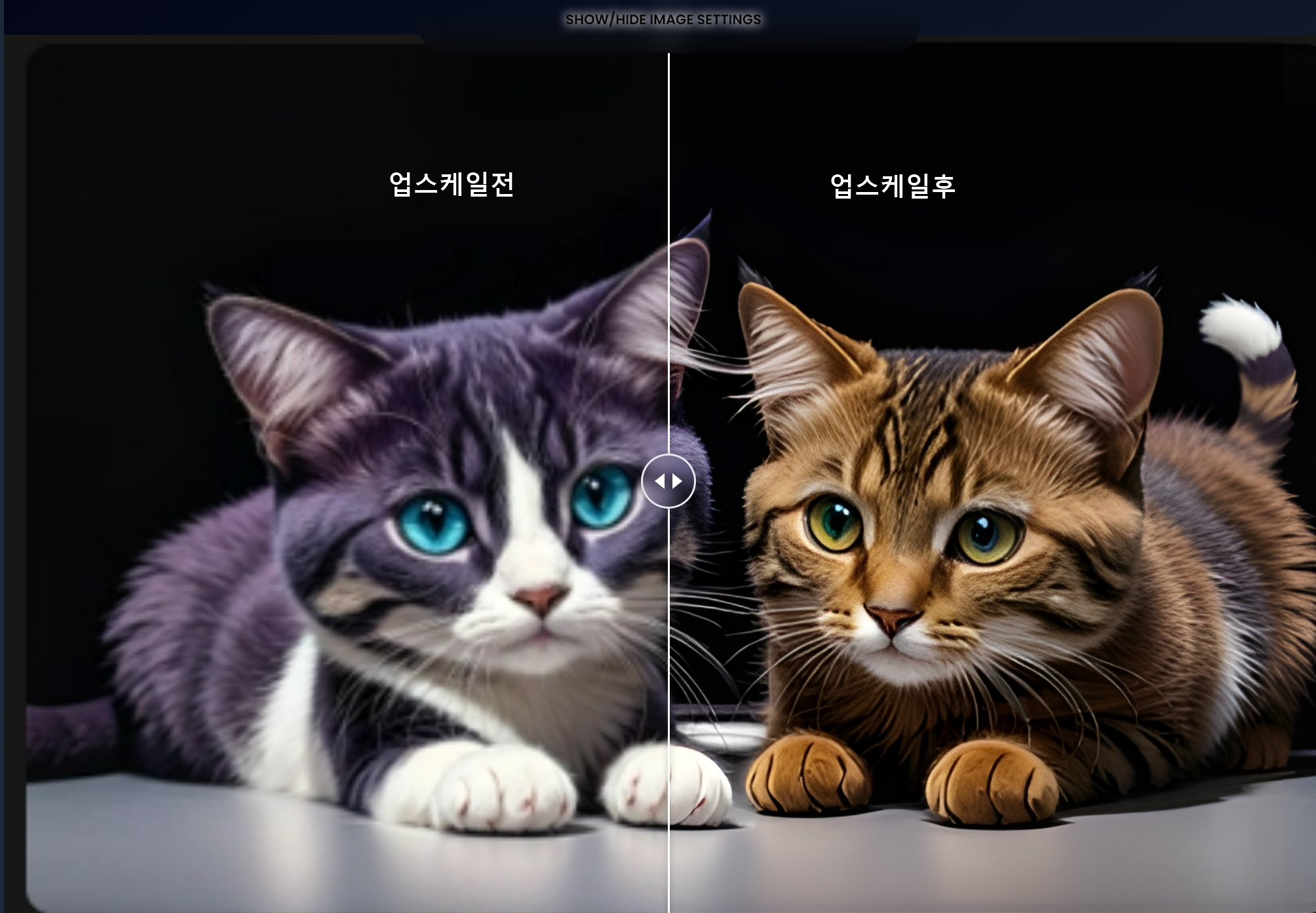 사진 해상도 높이기