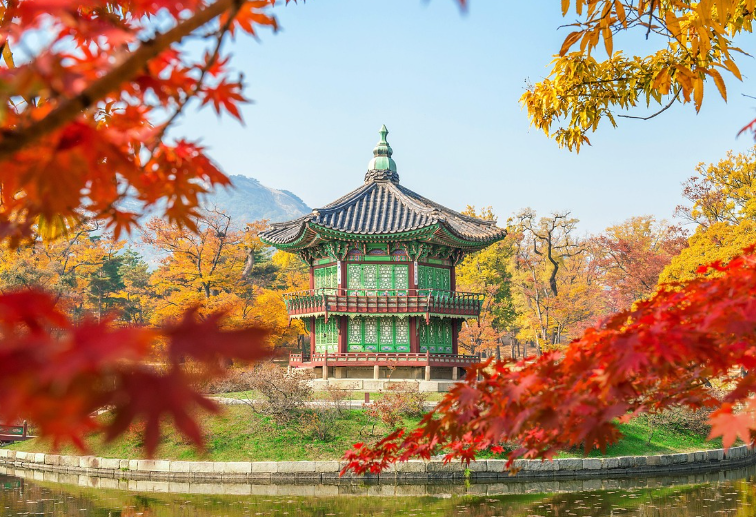 한국 전통 예술 종류 총정리