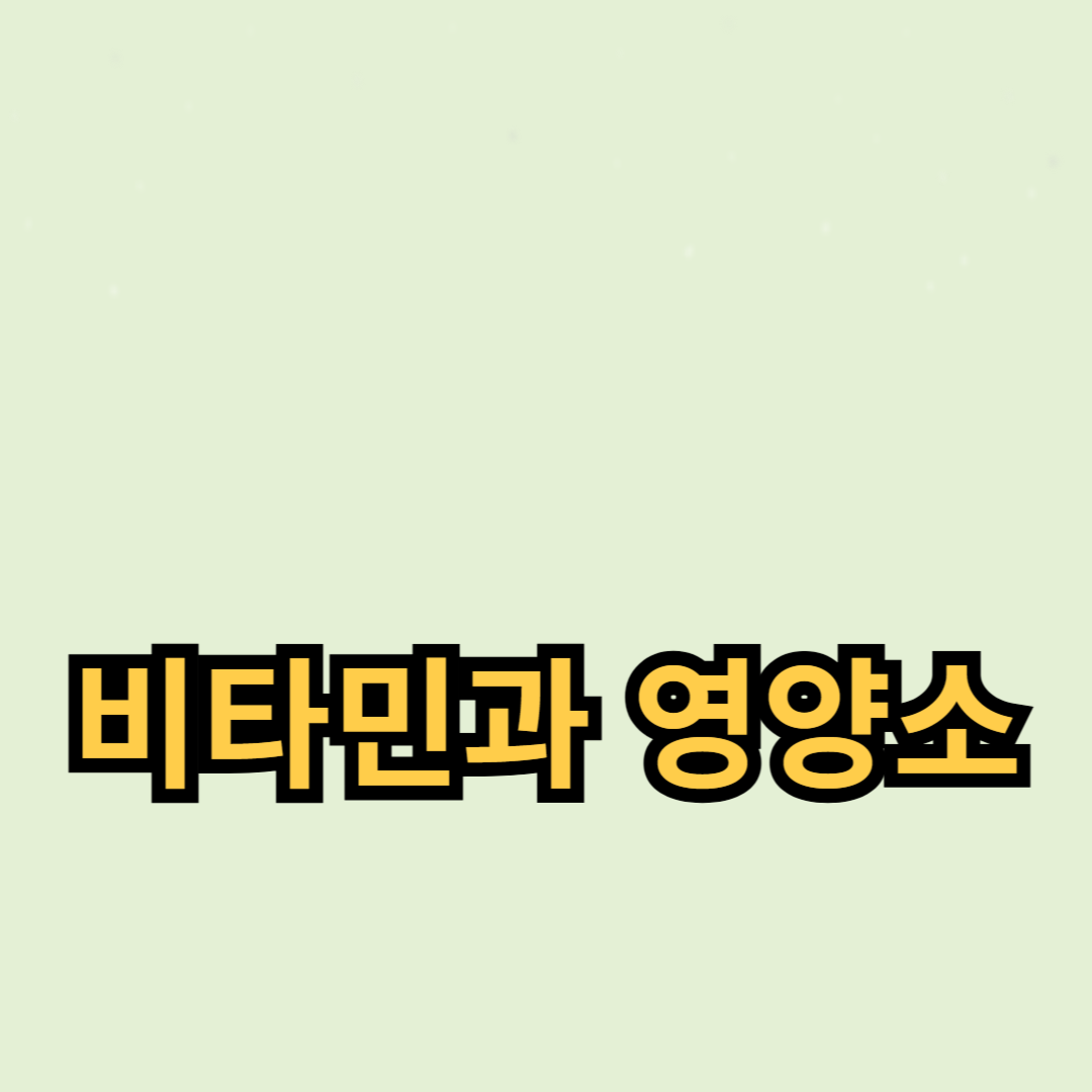 면역력 증진을 위한 비타민과 영양소 섭취 방법