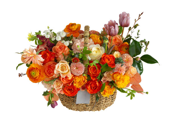 태안 튤립축제 기간, 입장료, 여행코스, 맛집 총정리