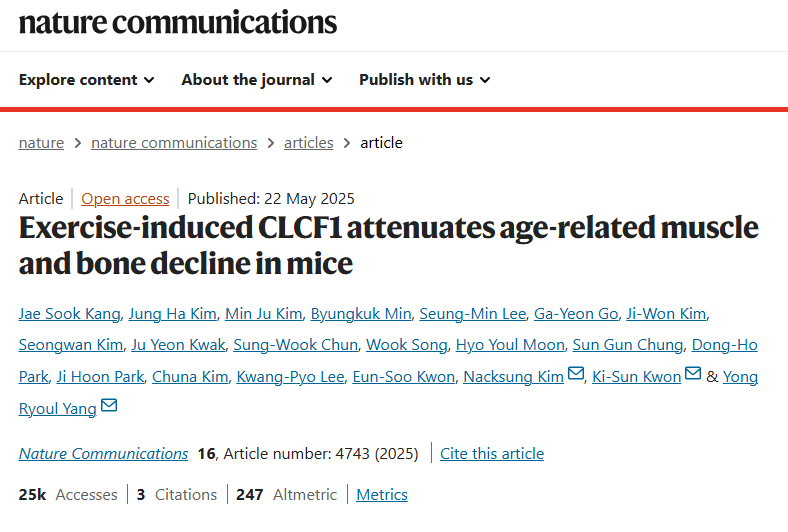 CLCF1 근육노화방지 근감소증예방 부모님운동 뼈건강