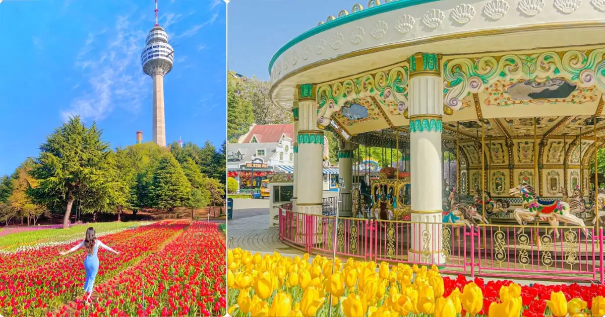 4월 봄꽃 축제-이월드 튤립트래블