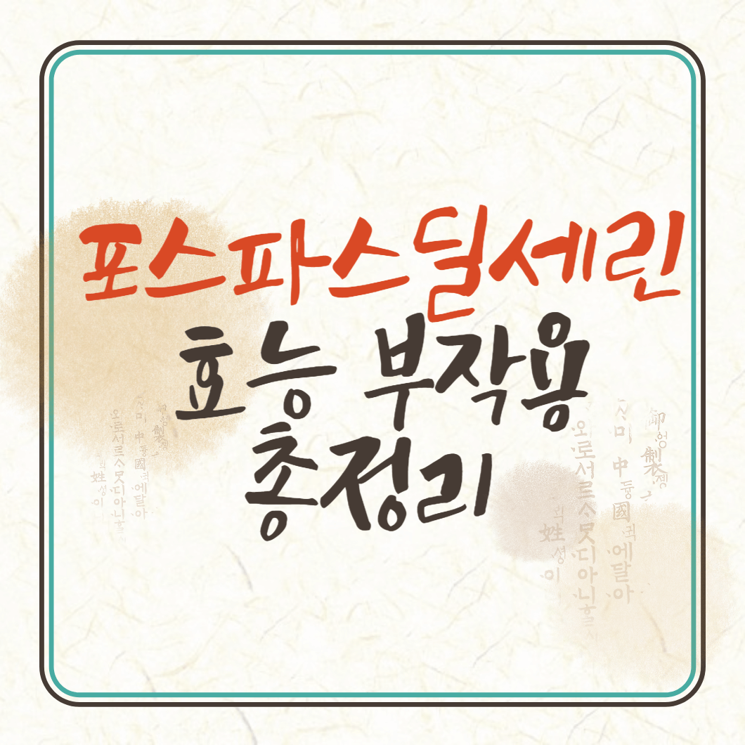포스파스딜세린 가격 효능 부작용