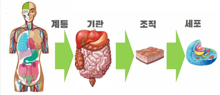더블엑스