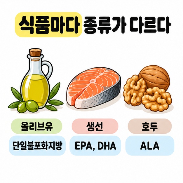 올리브유의 단일불포화지방, 생선의 EPA와 DHA, 호두의 ALA를 식품 그림과 짝지어 보여 주는 분류 그림