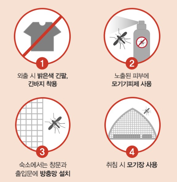 뎅기열 예방접종 증상 전염경로 치료방법 위험국가