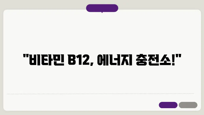 비타민b12가 많은 음식