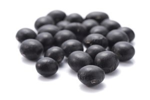 갱년기에 좋은 음식