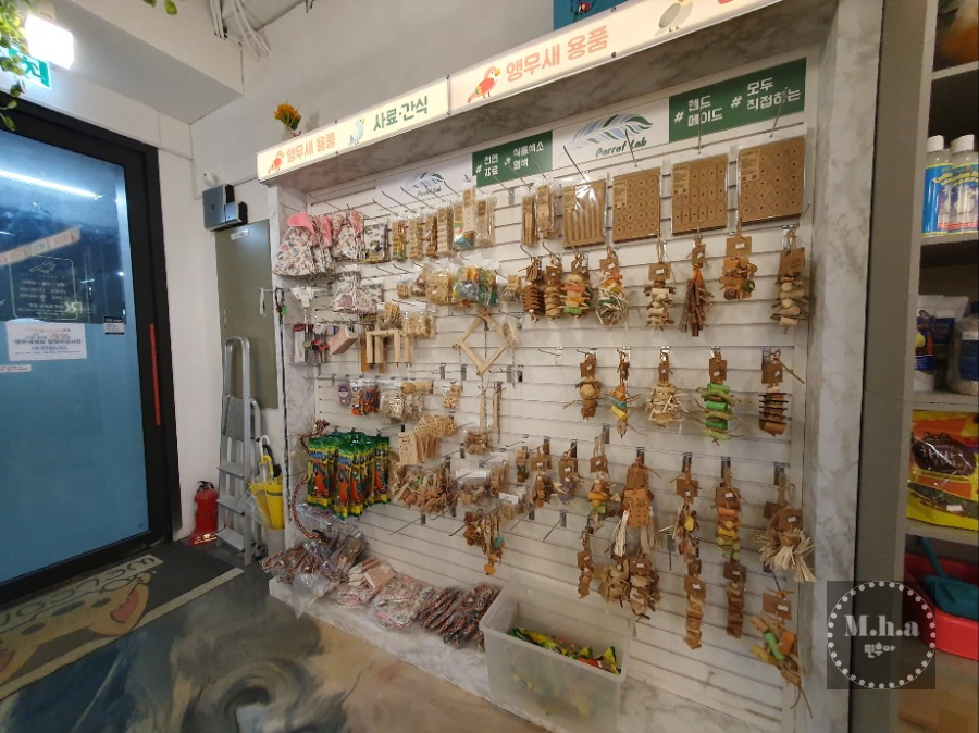 버드 힐링 카페