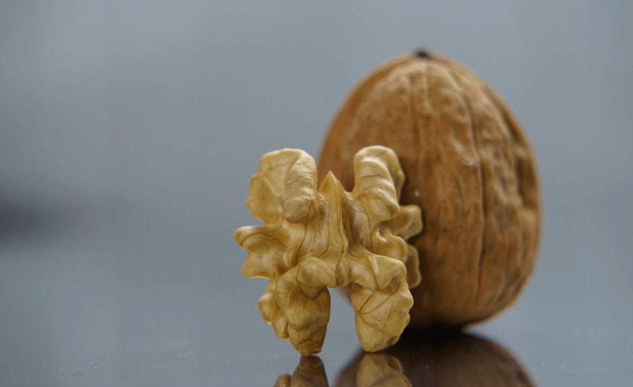 호두 효능 호두 알맹이가 서 있다