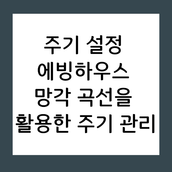 주기 설정 에빙하우스 망각 곡선을 활용한 주기 관리