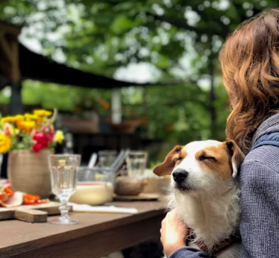 애견 카페 창업에 대하여 알아보기