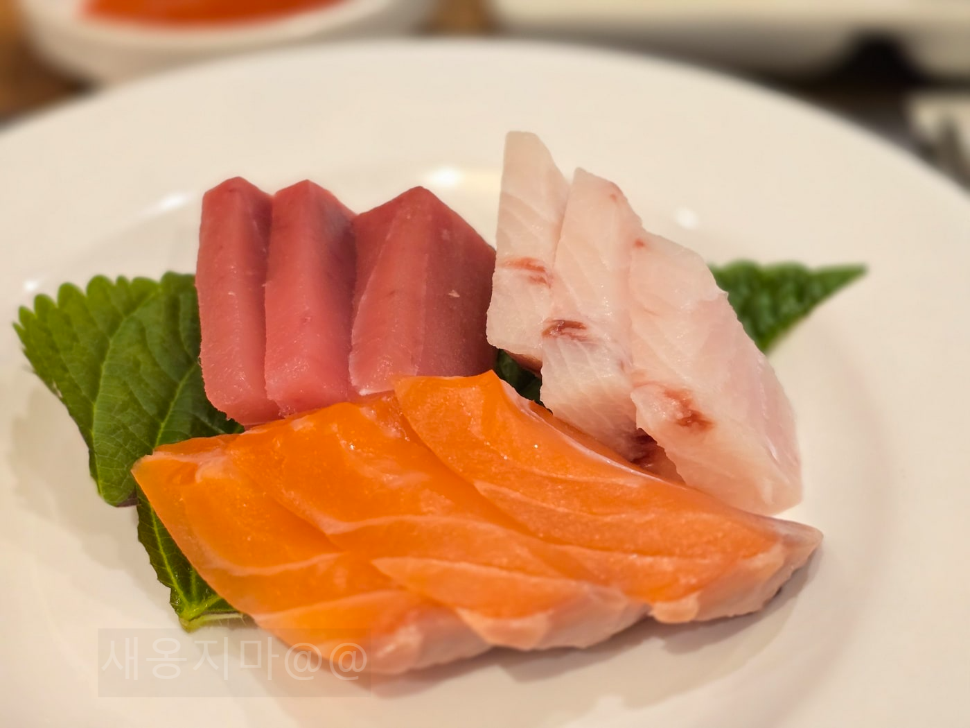 더아리엘-사시미