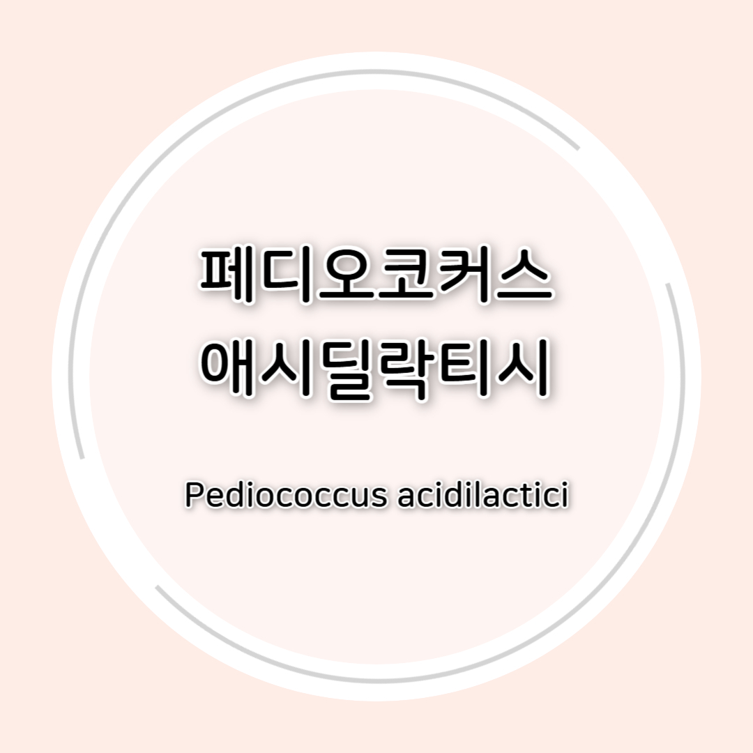 페디오코커스 애시딜락티시(Pediococcus acidilactici)효능 정리