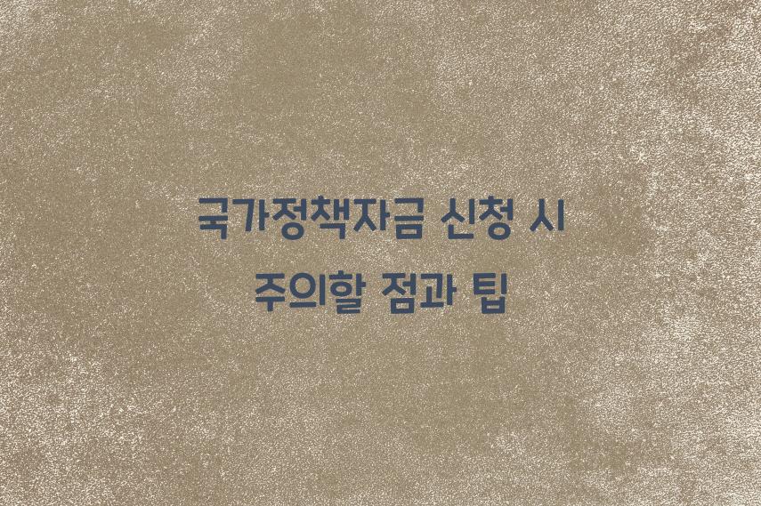국가정책자금