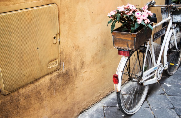 리모트 워커를 위한 시골 생존 아이템 10가지