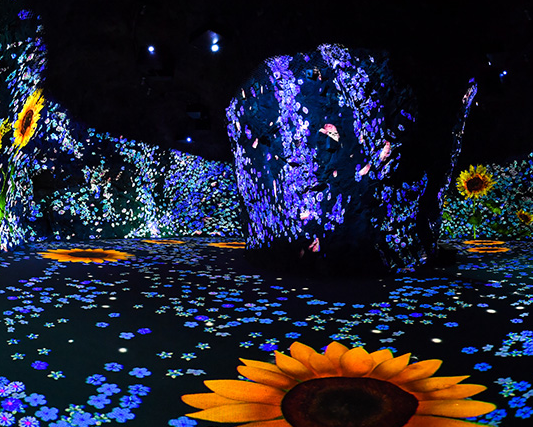 국내 6월 여행지