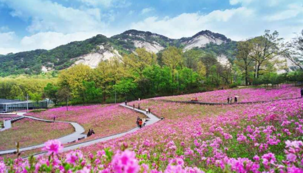 2026 서울 불암산 철쭉축제 근교 가볼만한곳 프로그램 주차장 정보