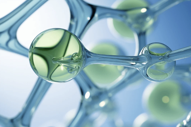 피세틴 세부 모습 이미지