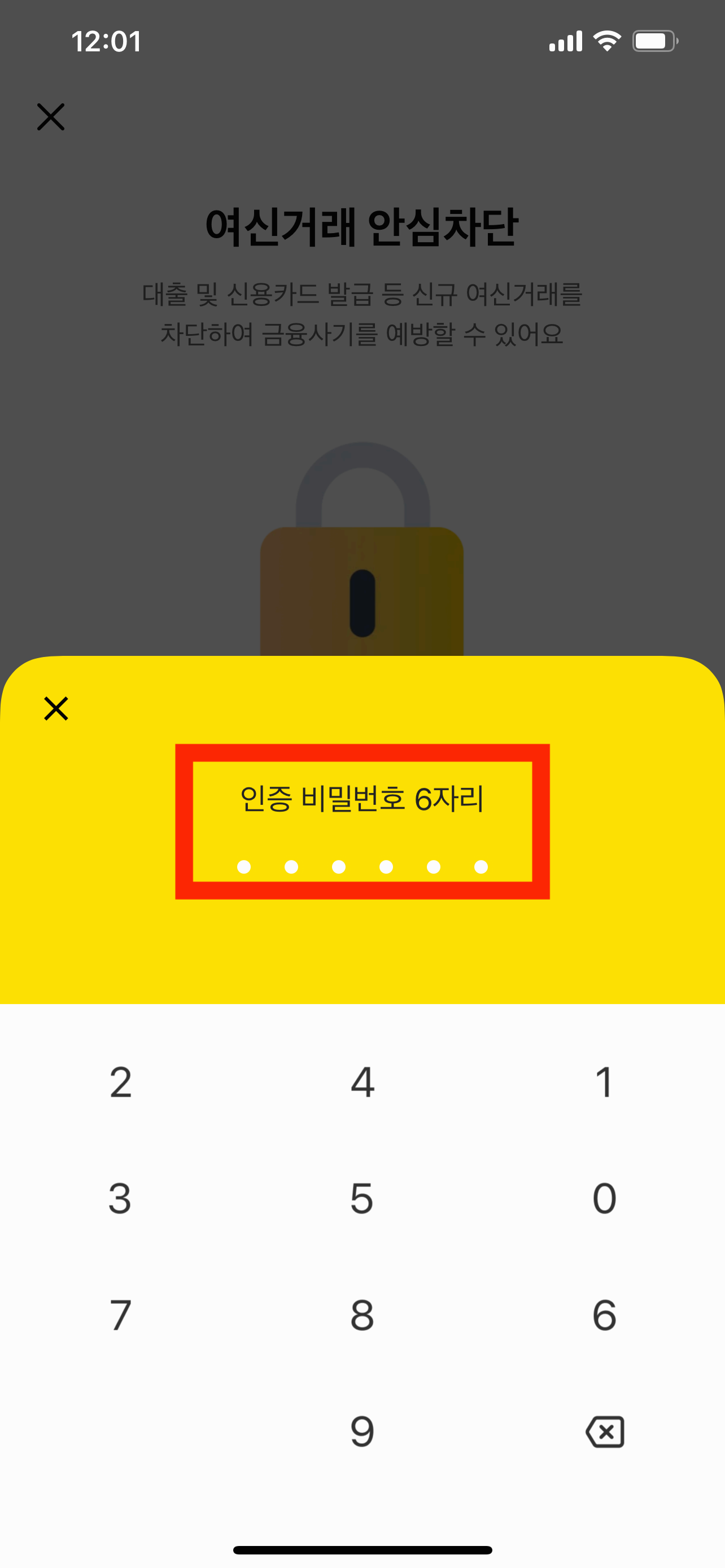 카카오뱅크 여신거래 안심차단 신청방법(+해제방법)