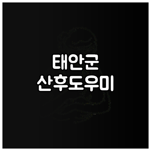 2025 태안군 산후도우미 지원: 신..