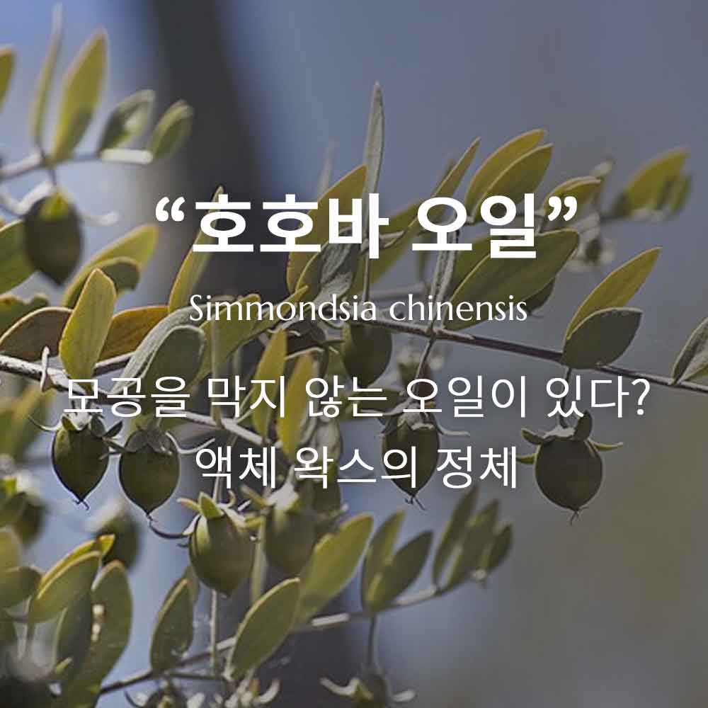 호호바 오일, 모든 피부 타입에 안전한 만능 오일