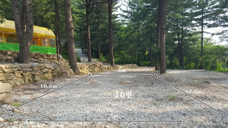 나무새캠핑장 (애견동반가능)