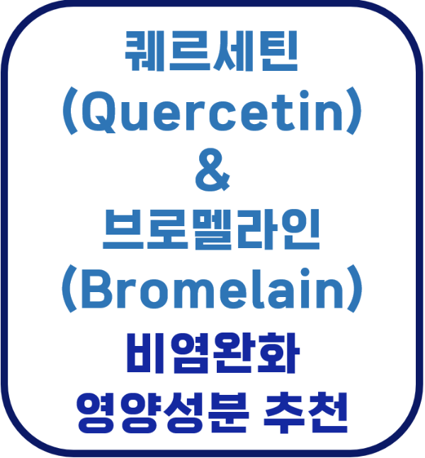 비염 완화 꽃가루 송화가루 봄 환절기 가을 알러지 알레르기 면역 호흡기 콧물 재채기 퀘르세틴 브로멜라인 quercetin bromelain