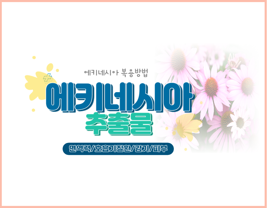 에키네시아 추출물은 면역력과 감기, 호흡기질환 등 도움이 많이 된다고 알려져 있습니다. 에키네시아 추출물은 다양한 방법으로 섭취할 수 있는데요~ 에키네시아 추출물 효능과 주의사항, 복용방법까지 확인해 보시기 바랍니다.