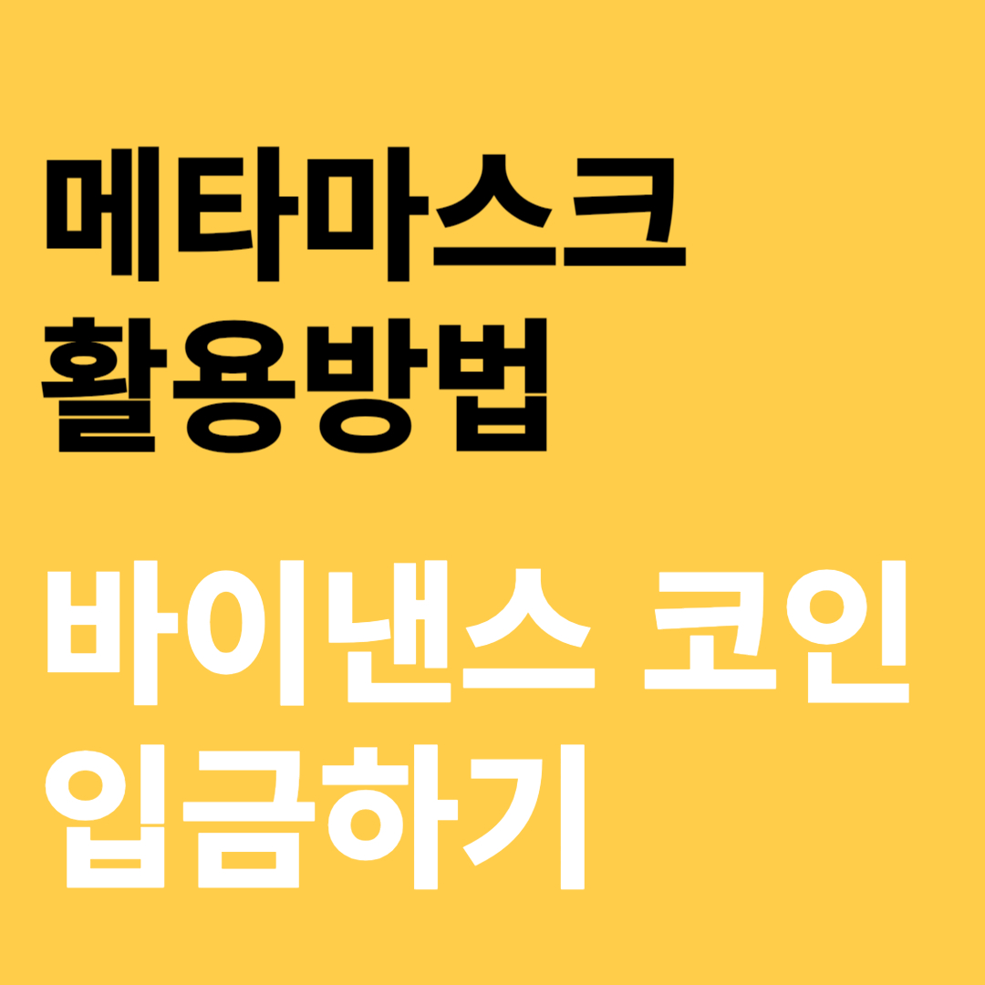 메타 마스크로 바이낸스 코인 입금하기