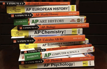 다양한 과목의 AP 책들이 쌓여 있는 모습
