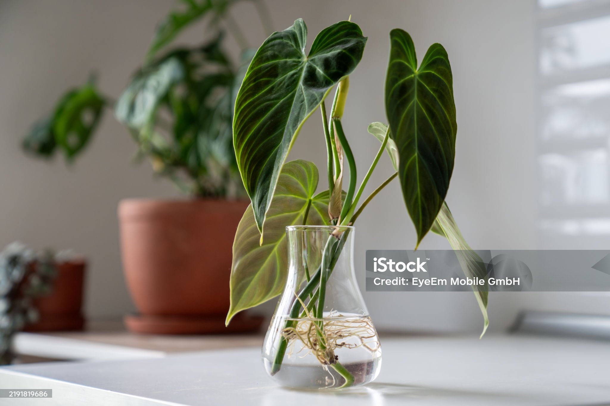 스마트팜 - 수경재배 물 관리