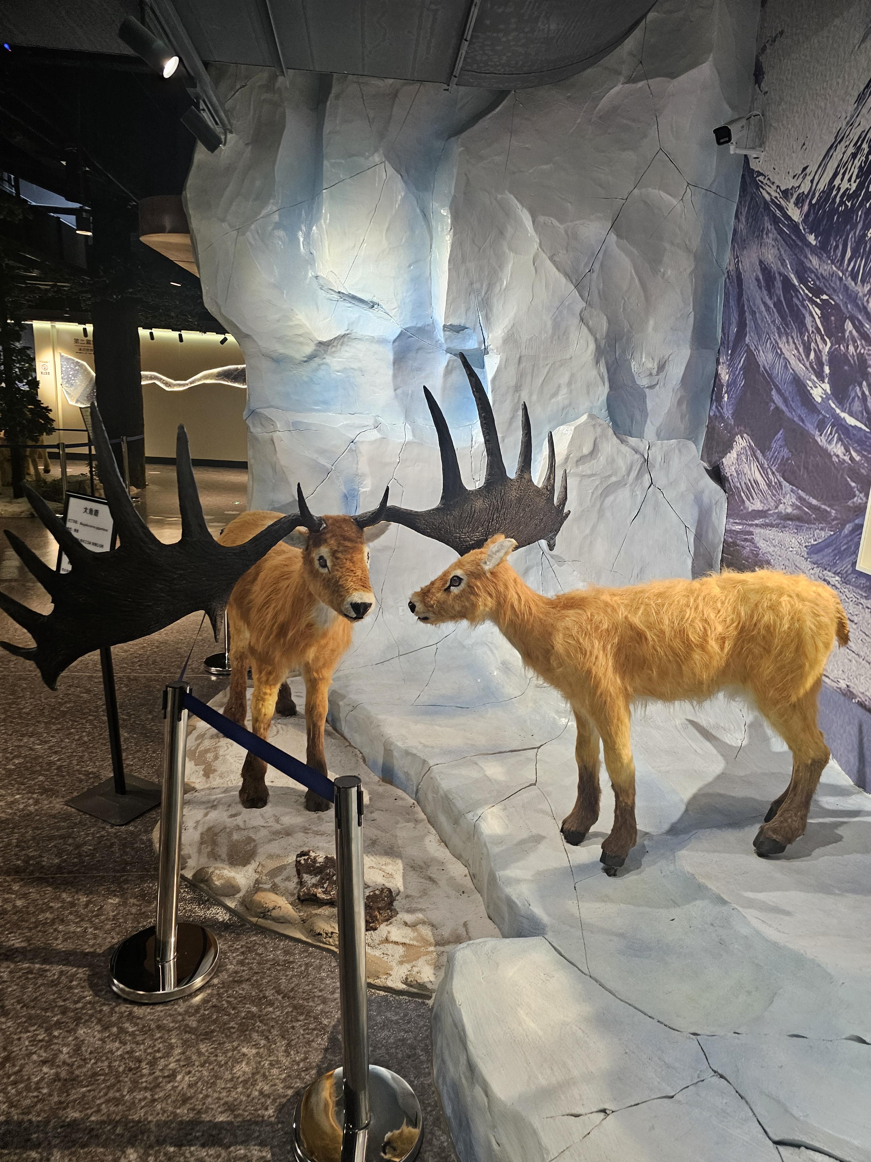 장백산 매머드 테마파크