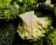 지방간에 좋은 음식 10, 지방간에 좋은 차 – 지방간 원인 증상