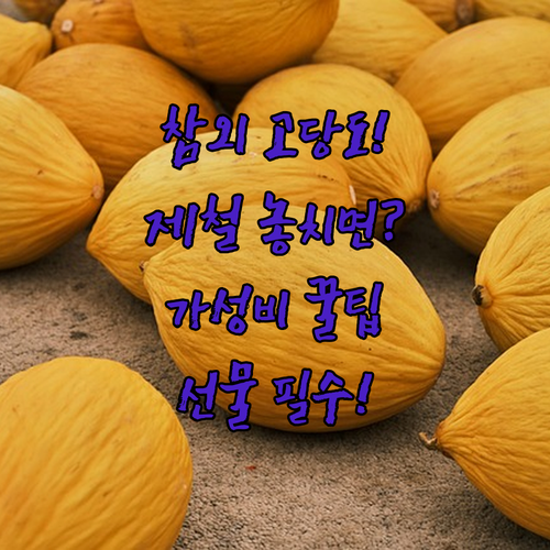 성주 참외 고당도 제철 가정용 선물용..