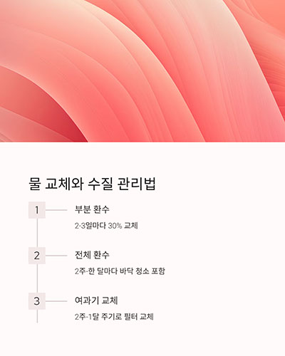 물 교체와 수질 관리, 이렇게 하세요