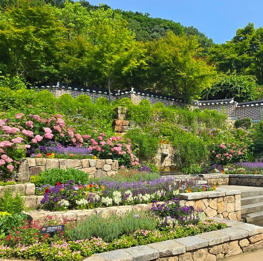 화담숲 수국축제 일정 예약 주차 정보