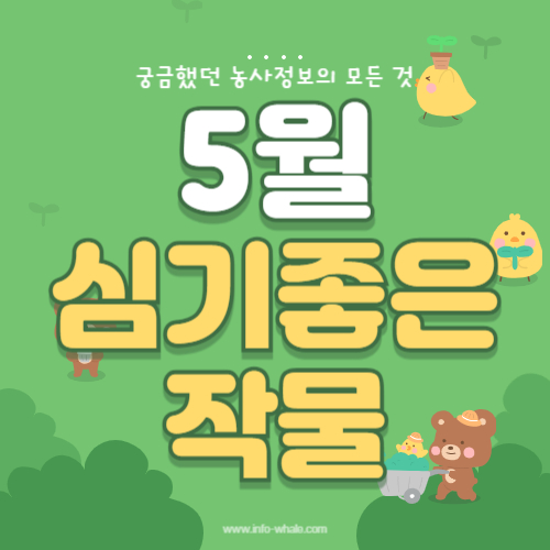 5월에 심기 좋은 작물 정리