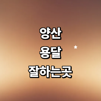 양산시 용달