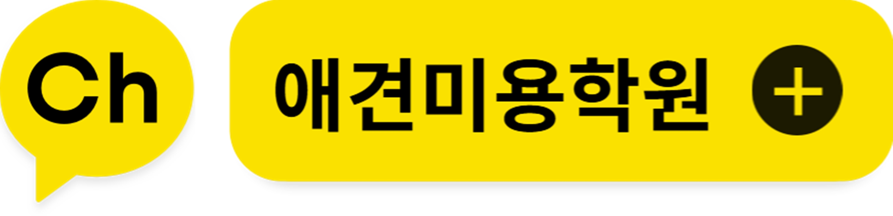 봉선동애견미용