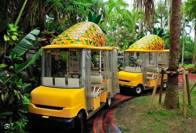 오키나와 파인애플 파크