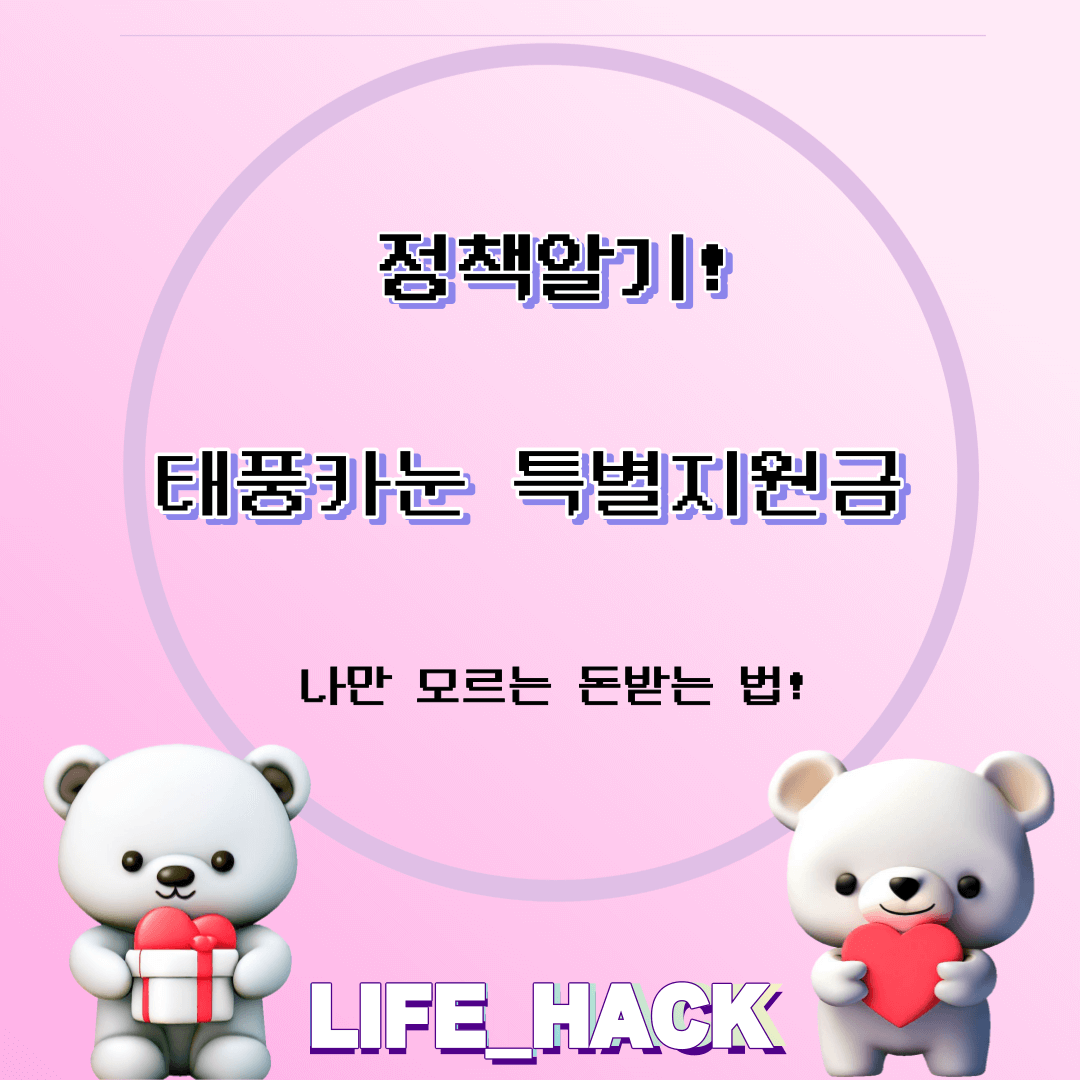 태풍카눈지원금